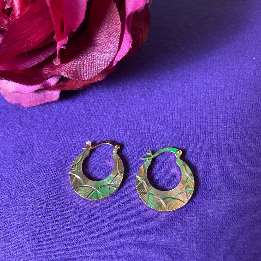 NWOT 18k Gold Plated Hoop Earrings for Women!